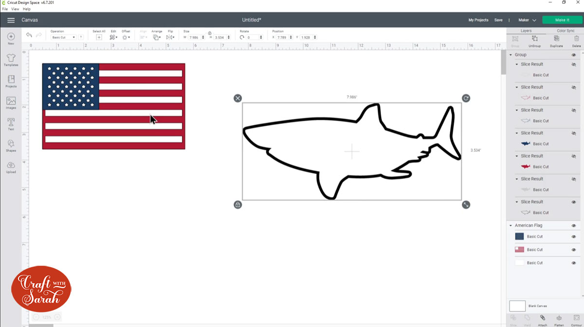 All shark layers hidden apart from the black outline