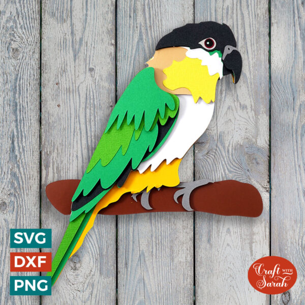 Black-headed Caique SVG