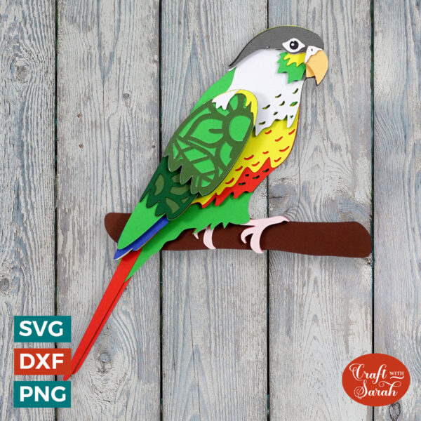 Green Cheeked Conure Bird SVG