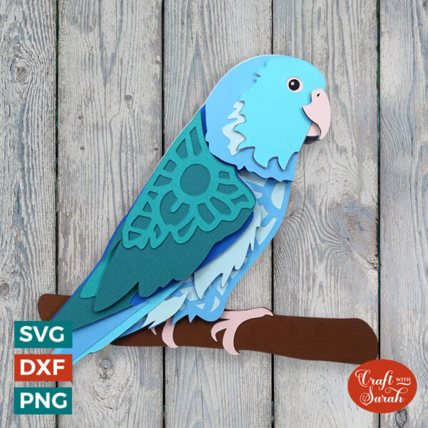 Pied Parrotlet SVG