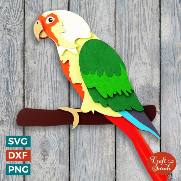 Pineapple Conure SVG