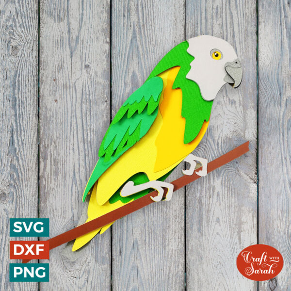 Senegal Parrot SVG