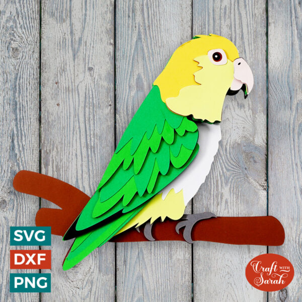 White Bellied Caique SVG