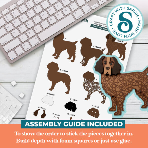 Boykin Spaniel SVG - Image 3