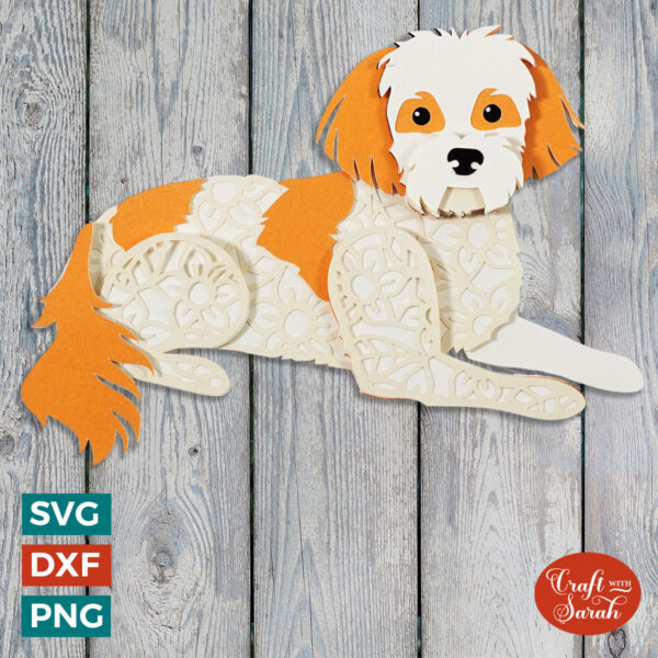 Cavachon SVG