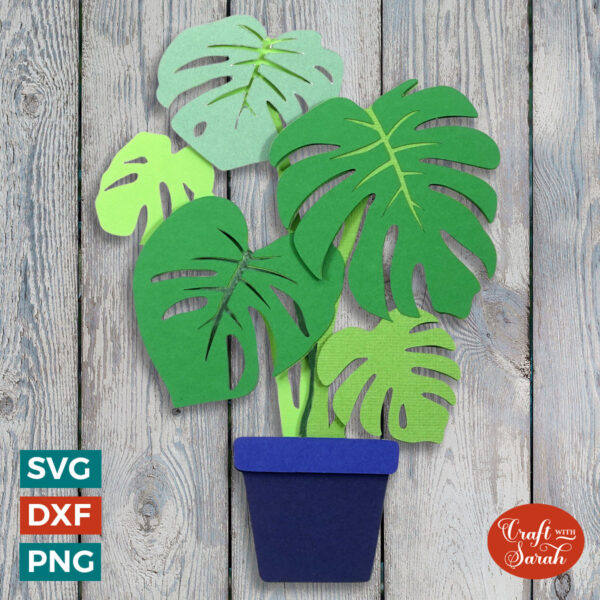 Cheeseplant SVG