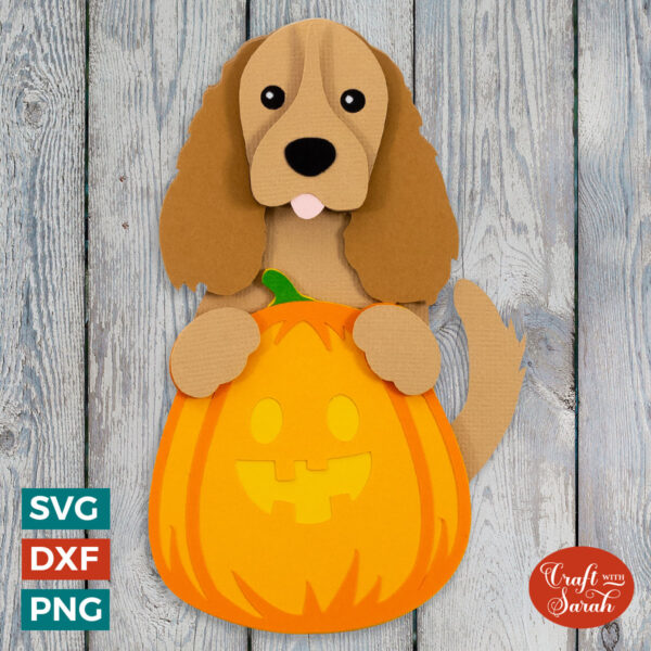 Cocker Spaniel with Halloween Pumpkin