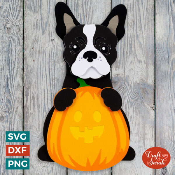 French Bulldog Pumpkin