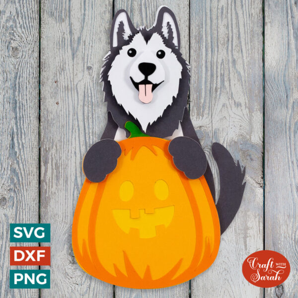 Alaskan Malamute Pumpkin