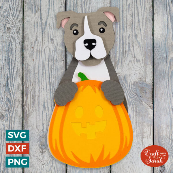 Pitbull Pumpkin