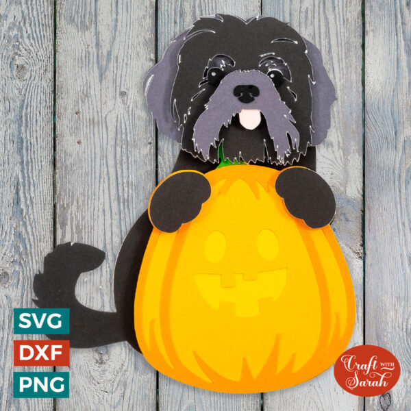 Shih Tzu Pumpkin