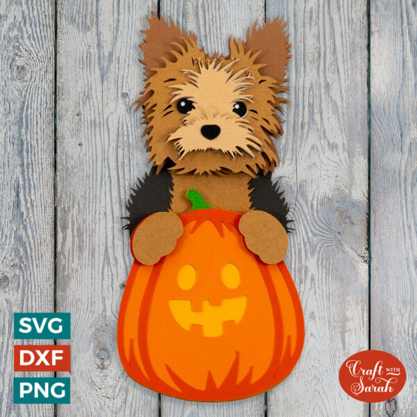 Yorkie Pumpkin