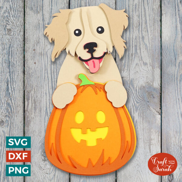 Golden Retriever Pumpkin